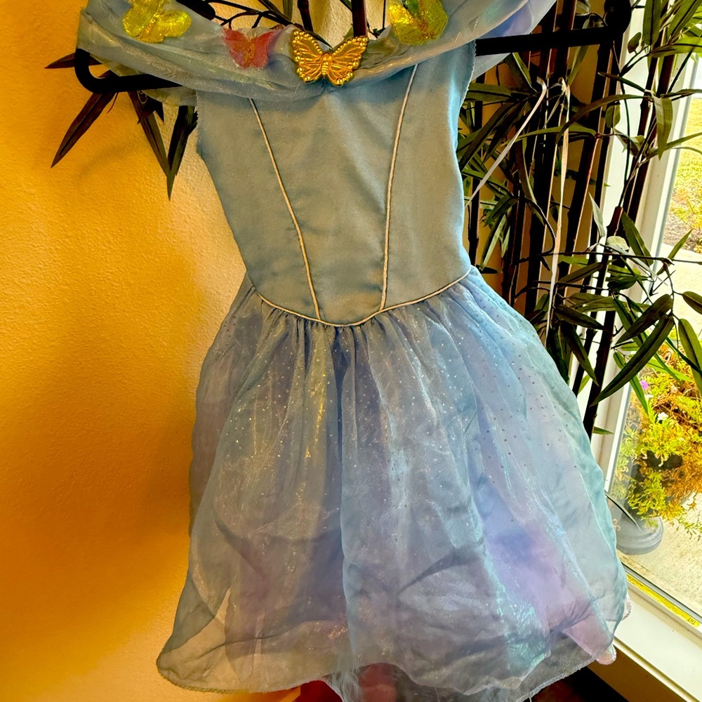 Disney Blue Butterfly Fairy Costume